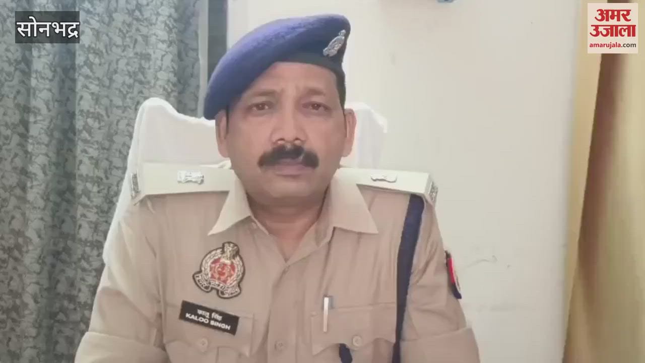 Police removed statue on Ambedkar Jayanti scuffle between villagers and police