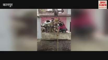 young man saved the life of a dog by descending into a 90 feet deep well