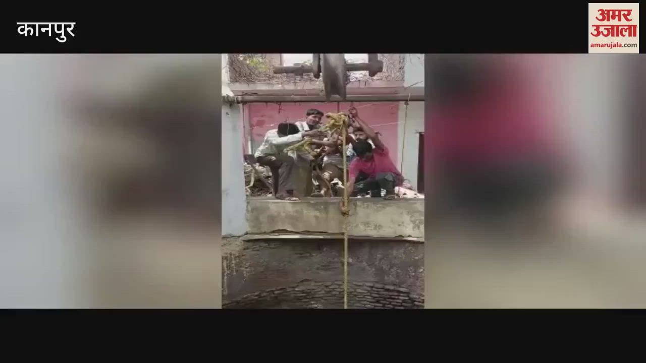 young man saved the life of a dog by descending into a 90 feet deep well