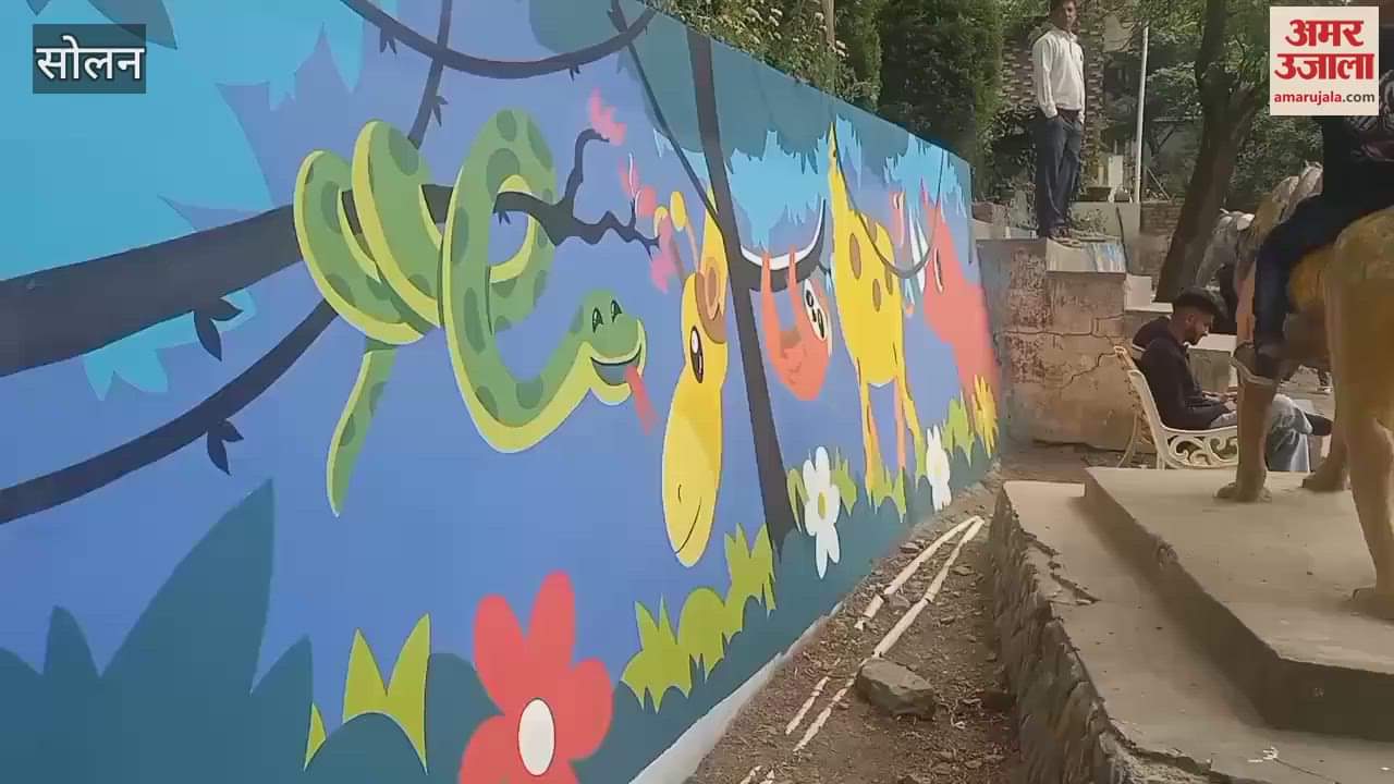 The mayor visited the children park and gave instructions to the contractor