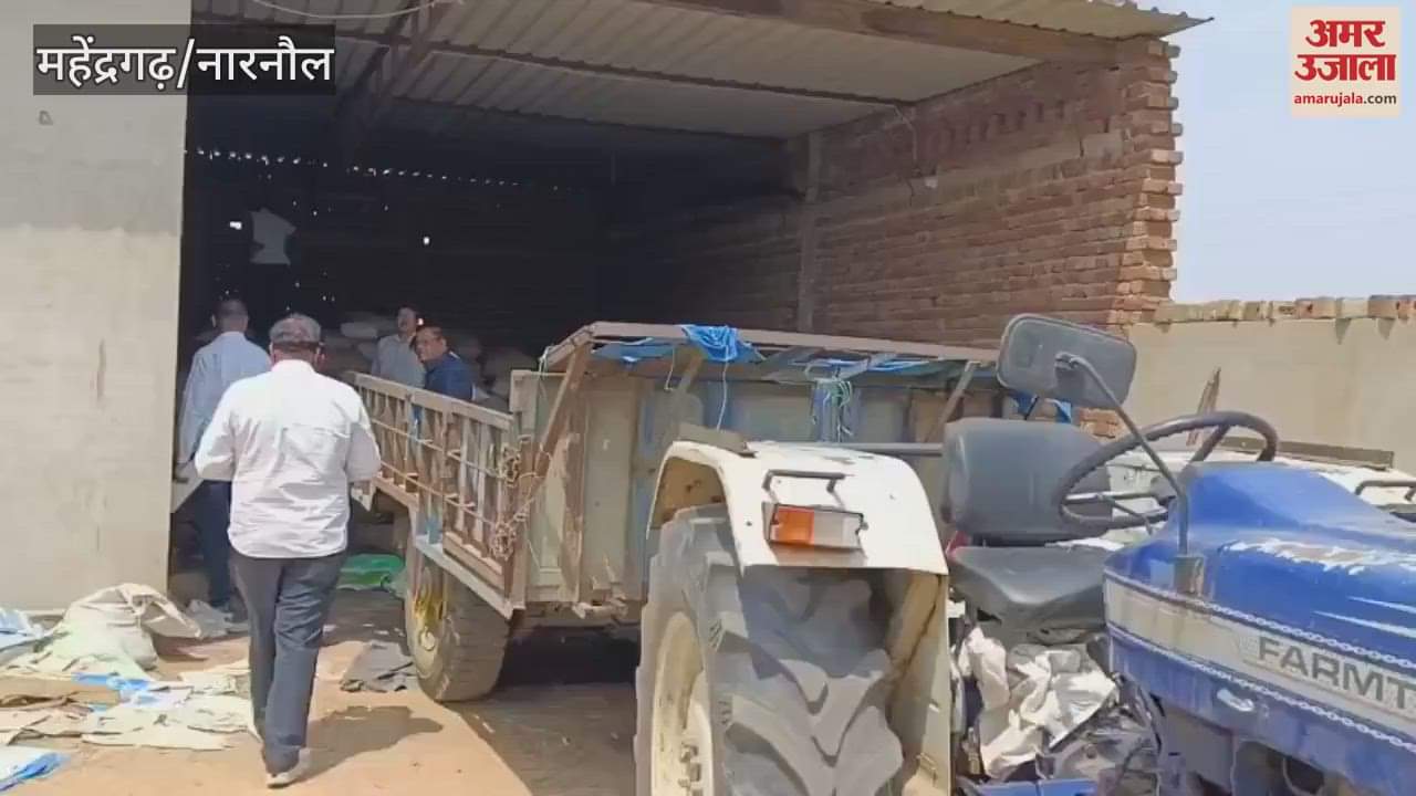 Chief Minister's flying squad seized mustard stock in Mahindergarh for the second day, investigation continues