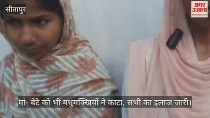 Sitapur: मधुमक्खियों के हमले से किसान की मौत, सगी बहनें घायल