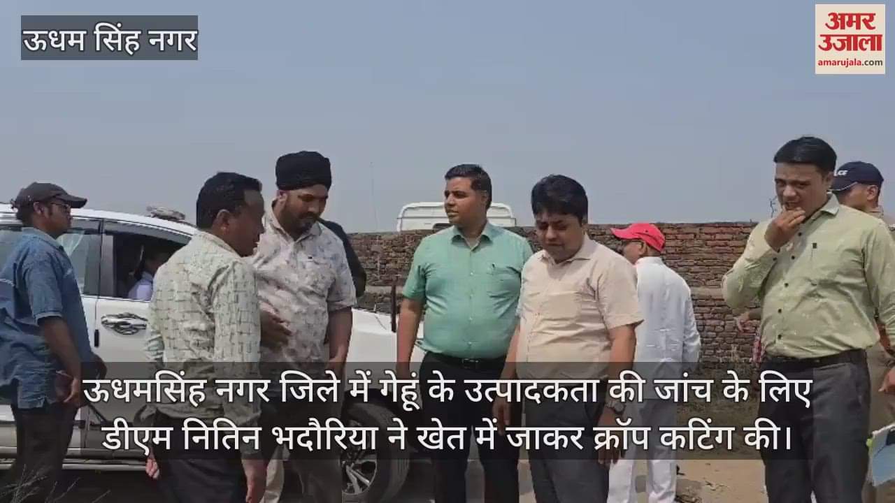 Rudrapur DM went to the field and did crop cutting, got productivity of 25.200 kg wheat