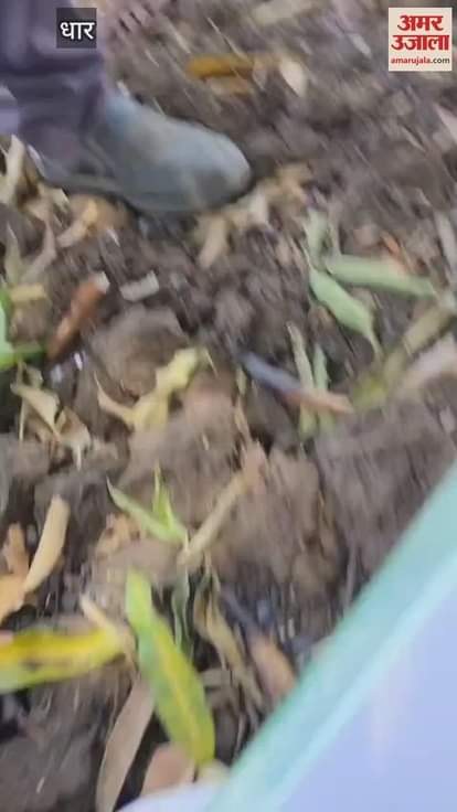 The revenue team which went to demarcate agricultural land was attacked, 2 farmers were also injured