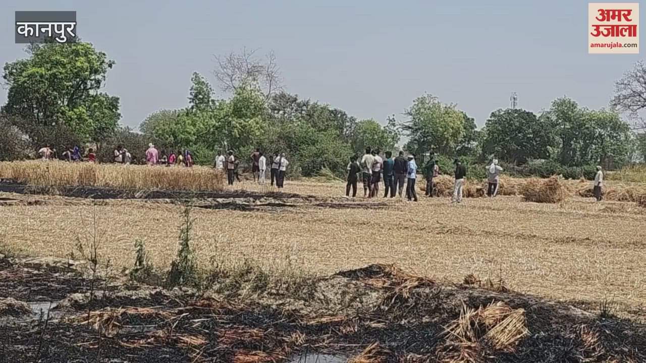 Four bighas of standing wheat crop caught fire due to short circuit