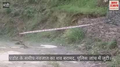 The body of a newborn was found near Pandoh, police started investigation