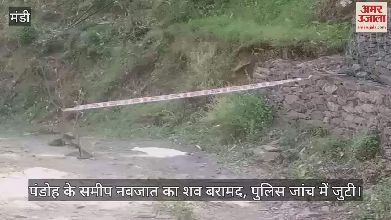 The body of a newborn was found near Pandoh, police started investigation