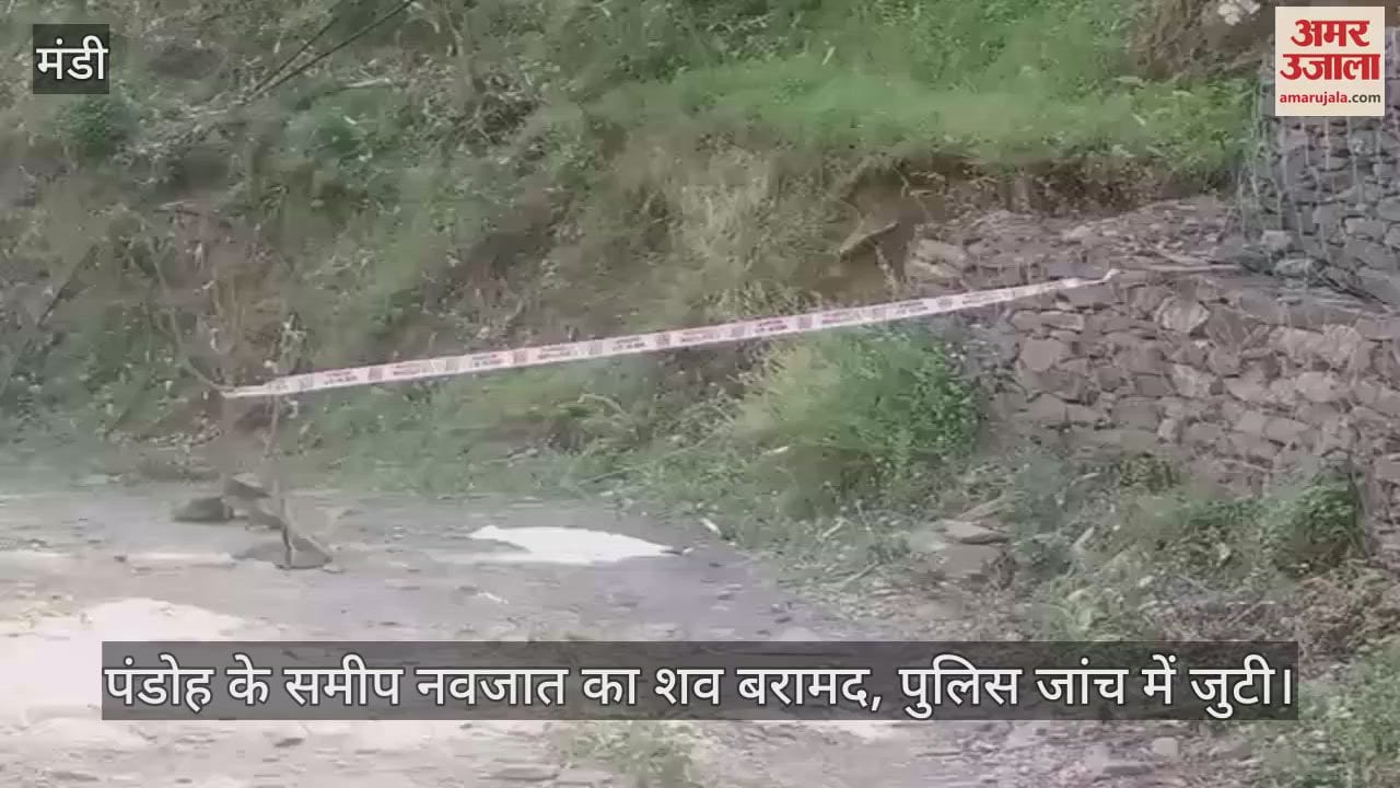 The body of a newborn was found near Pandoh, police started investigation