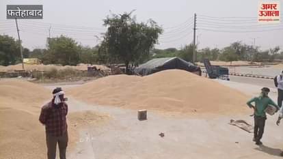 Due to slow lifting in Fatehabad, the new grain market is filled with wheat crop