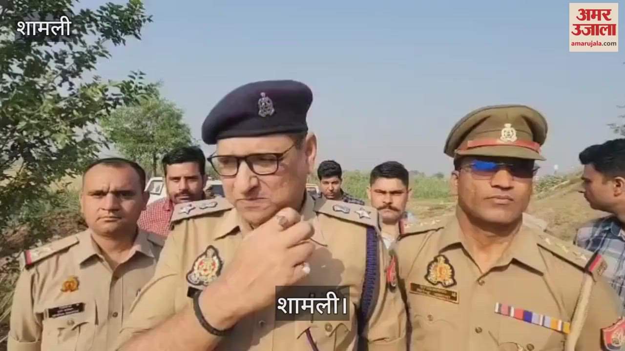 Meerut: Criminal wanted in theft case injured in encounter