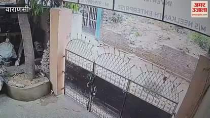 Chain snatching inside the house video goes viral