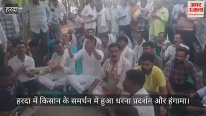 Harda News: In Harda, an electricity department official destroyed a farmer's crop