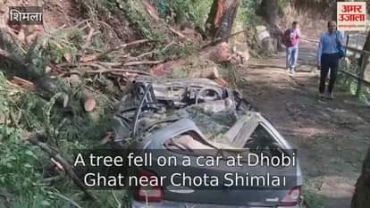 A tree fell on a car at Dhobi Ghat near Chota Shimla
