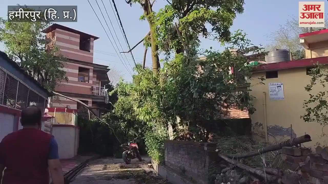 There was a lot of damage due to the storm in Sujanpur a tree fell on the road the roof of the house was blown away