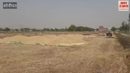 Piles of wheat are piling up in the markets of Sonipat, payments are getting less due to less lifting