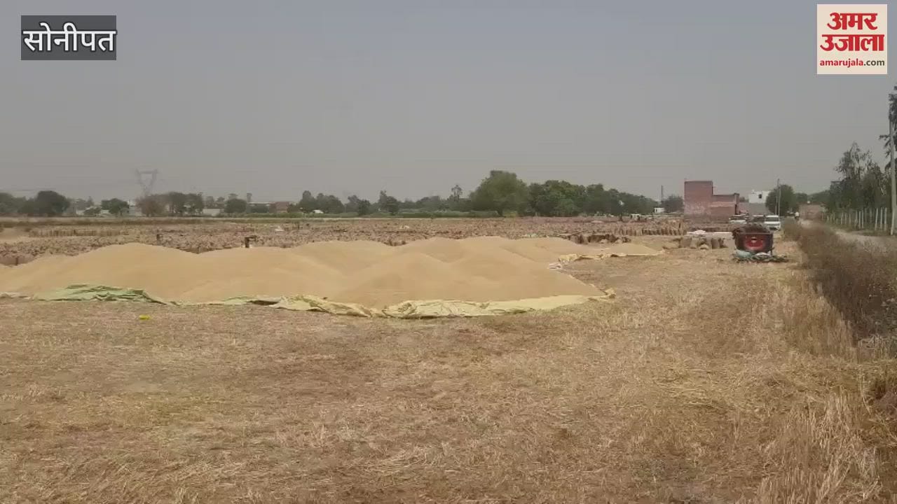 Piles of wheat are piling up in the markets of Sonipat, payments are getting less due to less lifting