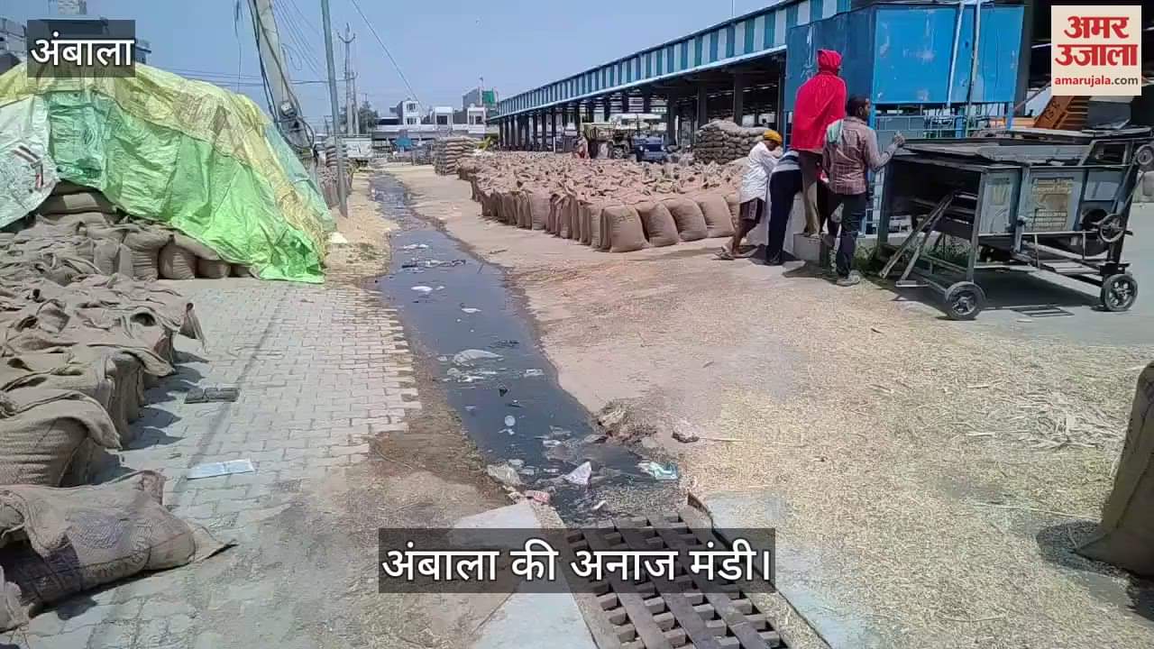 अंबाला की अनाज मंडी में पानी को तरसे श्रमिक, सफाई व्यवस्था भी चरमराई