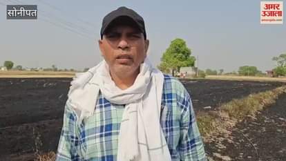 हाईटेंशन लाइन के तारों में हुआ शॉर्ट सर्किट, साढ़े तीन एकड़ गेहूं की फसल जली