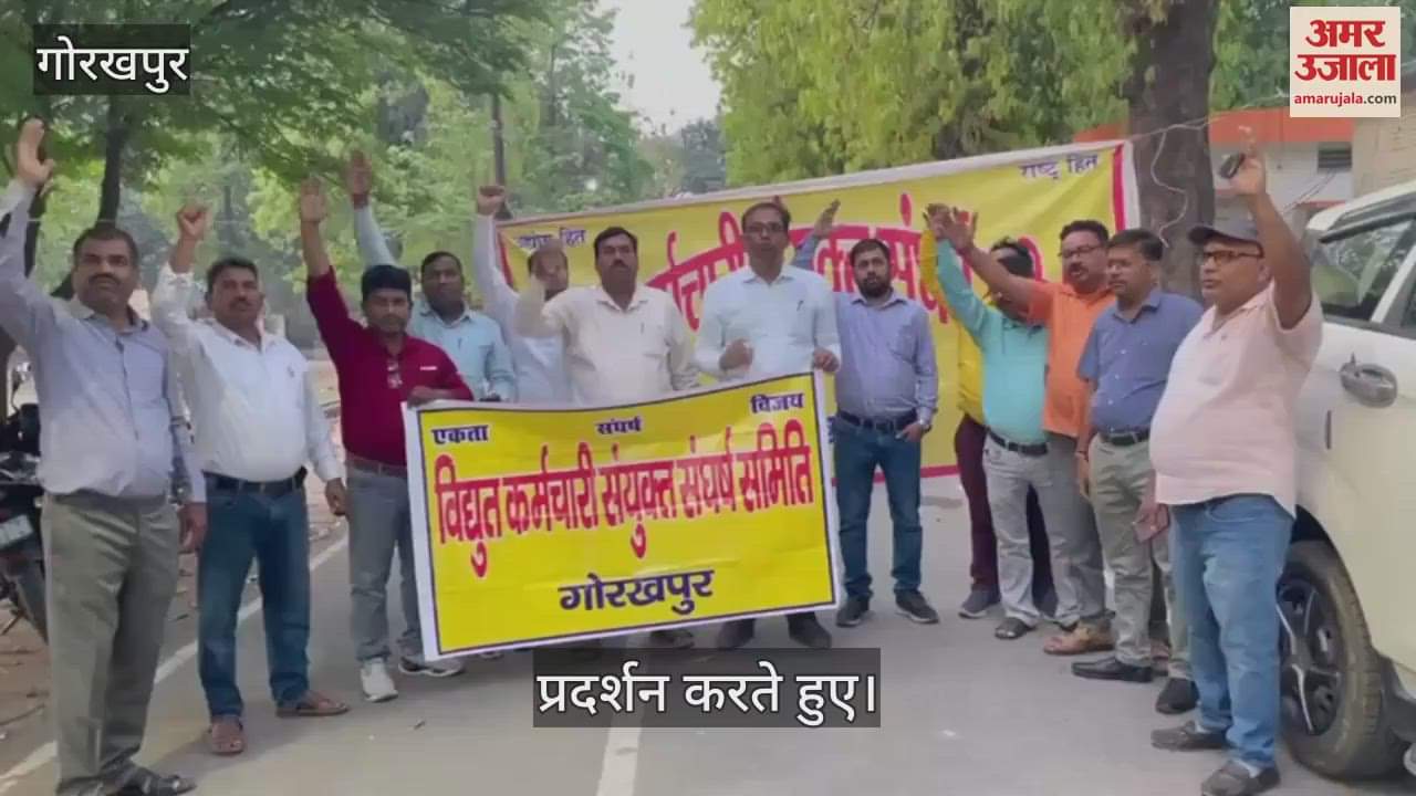 Electricity workers demonstrated against privatization