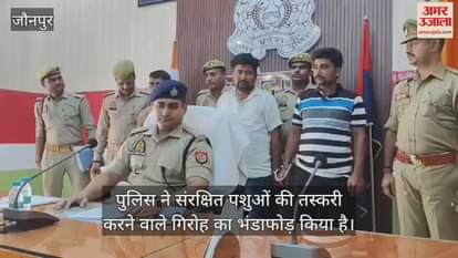 Members of the gang involved in smuggling protected animals in Jaunpur were caught by the police
