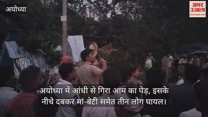 अयोध्या में आंधी से गिरा आम का पेड़, इसके नीचे दबकर मां-बेटी समेत तीन लोग घायल