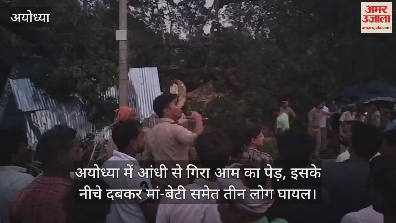 अयोध्या में आंधी से गिरा आम का पेड़, इसके नीचे दबकर मां-बेटी समेत तीन लोग घायल