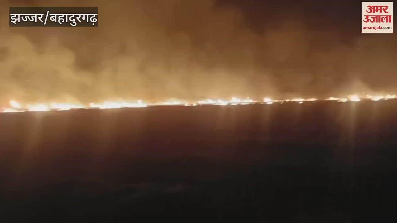 Wheat crop caught fire in Jhajjar, villagers opened the blockade after 12 hours; Tehsildar gave assurance