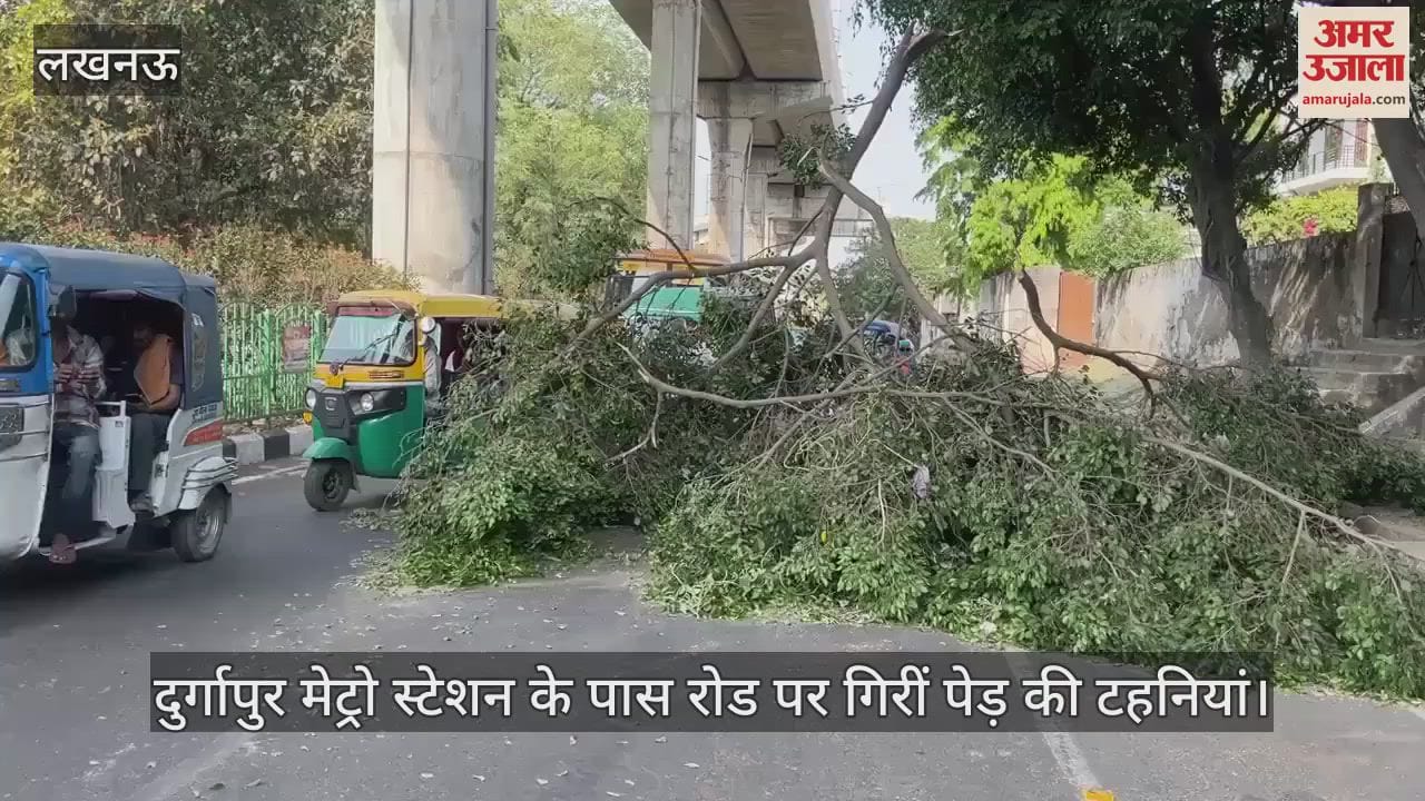 दुर्गापुर मेट्रो स्टेशन के पास रोड पर गिरीं पेड़ की टहनियां