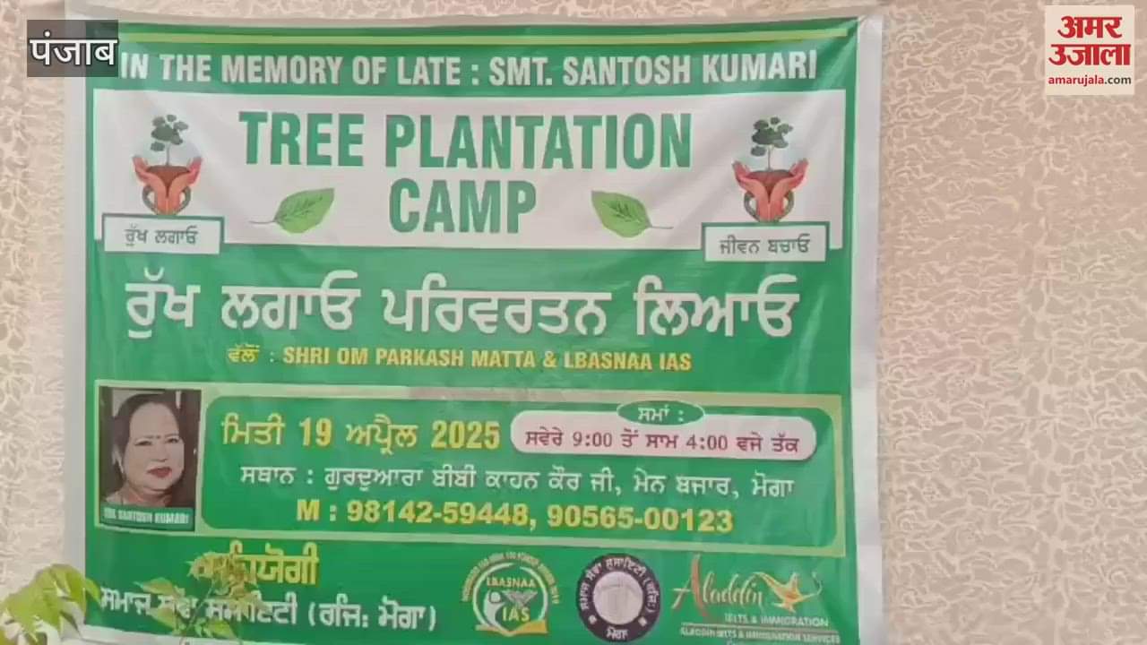 In Moga, sons organised a plant langar in memory of their father and distributed more than 500 plants