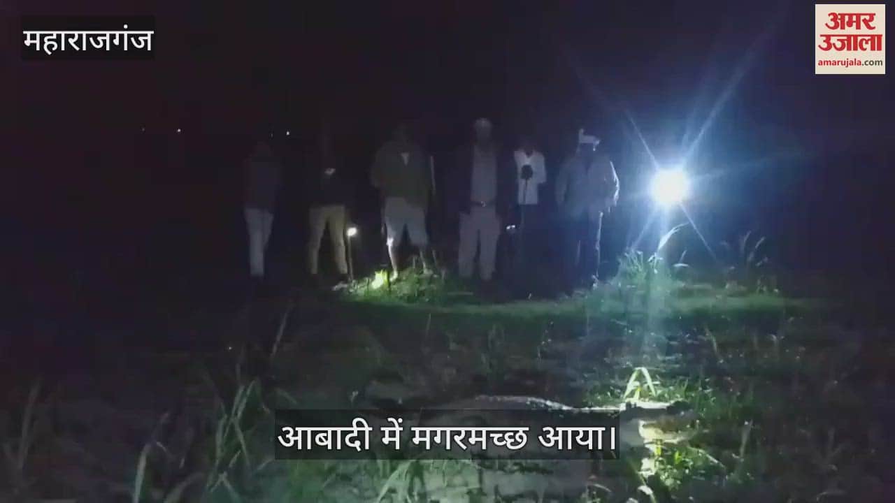 Crocodile came into the population from Darjiniya lake, team caught it