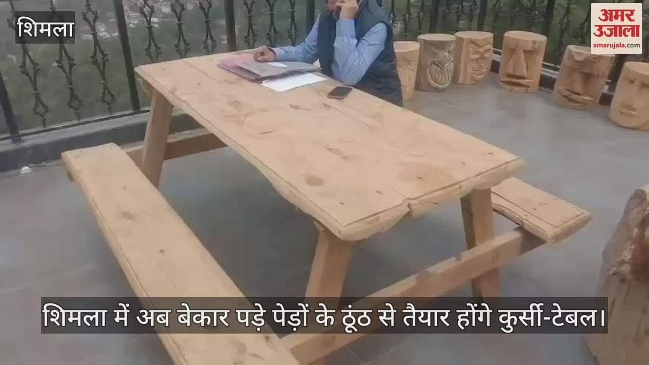 Now chairs and tables will be made from the stumps of unused trees in Shimla