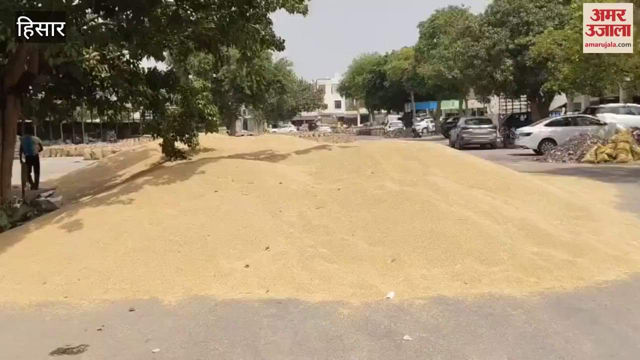 222327 MT wheat purchased in Hisar, 69% not lifted Markets filled with grains