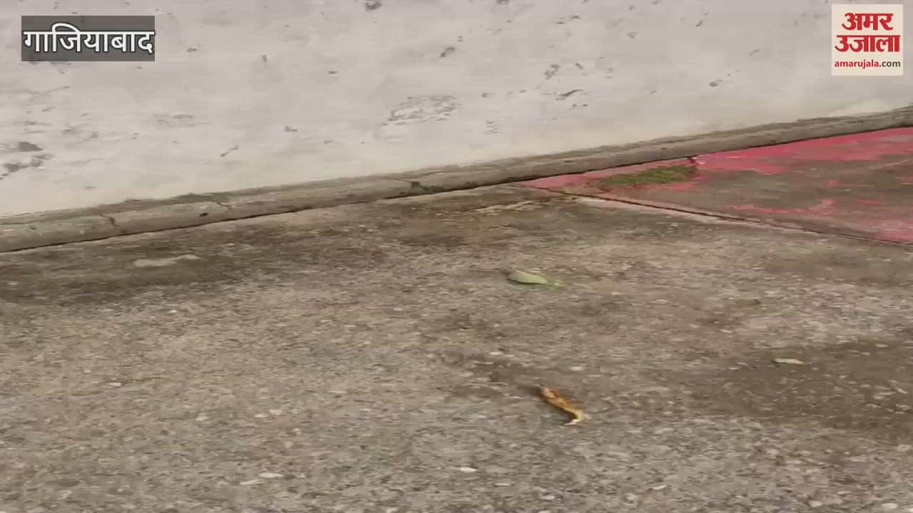 Firing at a wedding ceremony in Ghaziabad