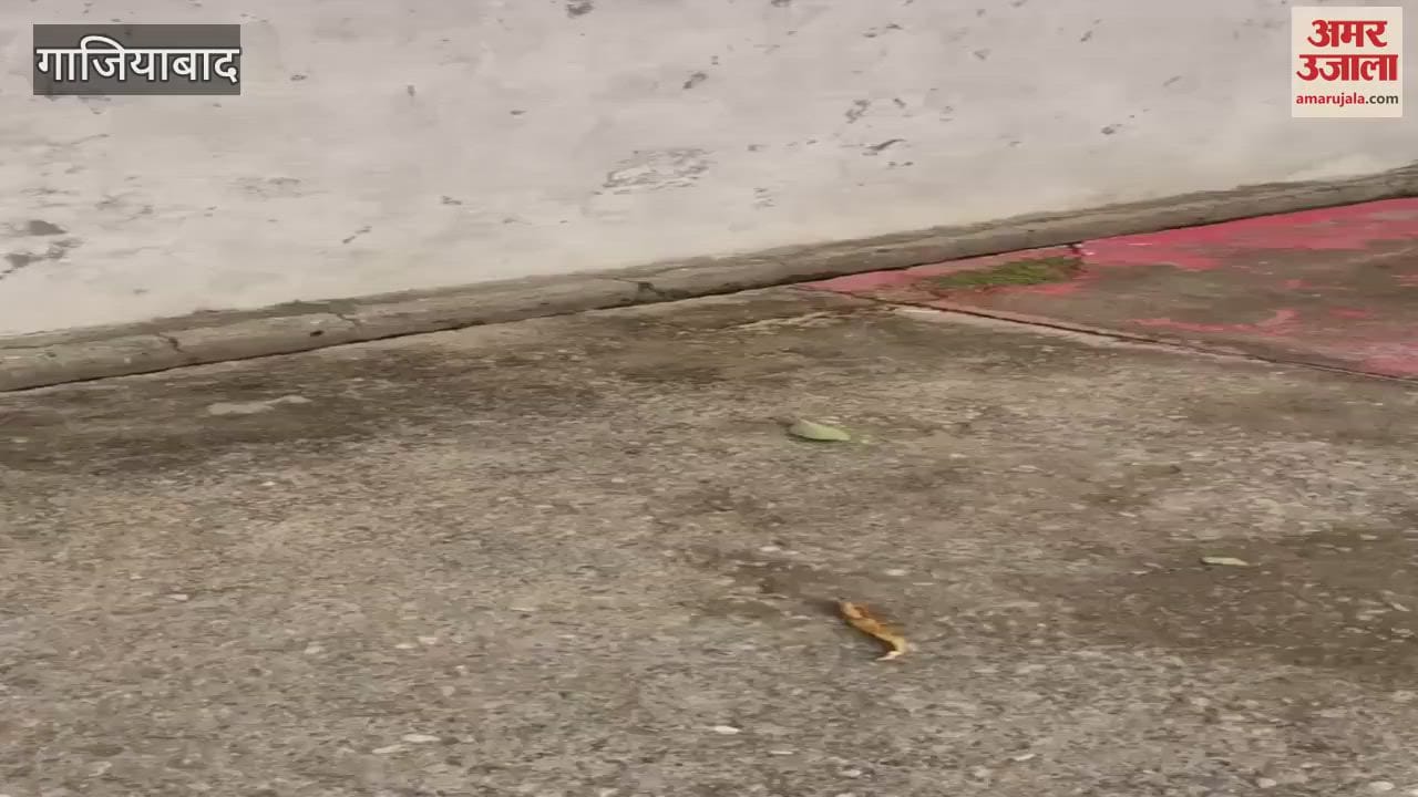 Firing at a wedding ceremony in Ghaziabad
