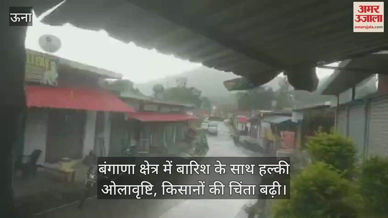 Light hailstorm along with rain in Bangana area, farmers' concern increased