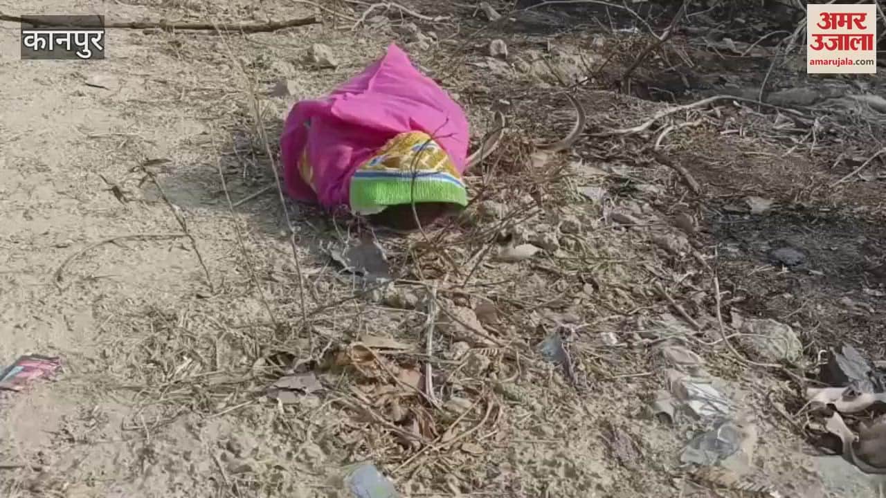 Newborn's body stuffed in a bag and thrown on the highway