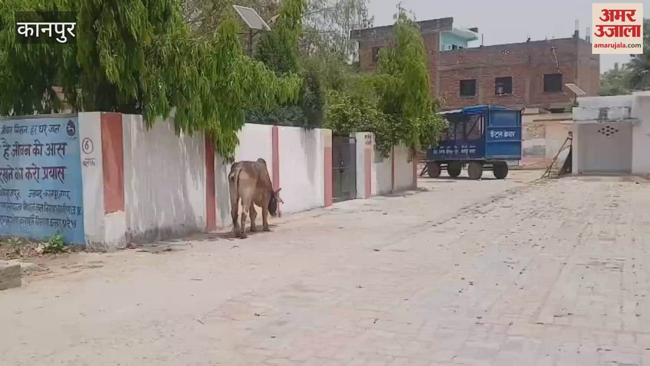 cow has been roaming in an injured state outside the Veterinary Officer's office for months