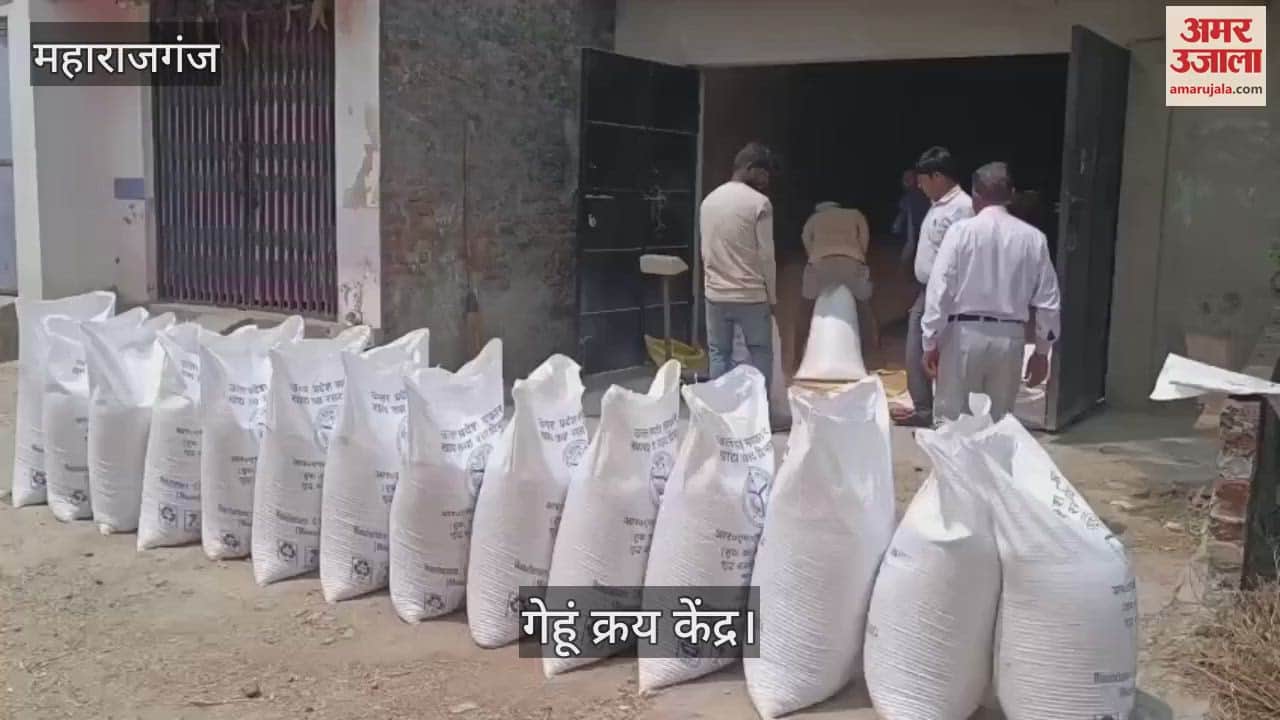 Farmers are facing difficulty in buying wheat