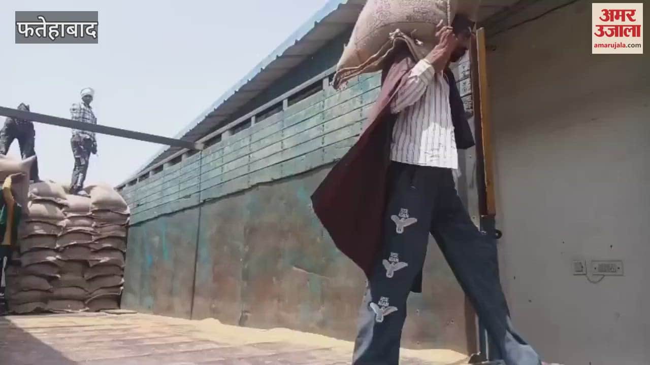 फतेहाबाद की अनाज मंडियों में मजदूरों की कमी