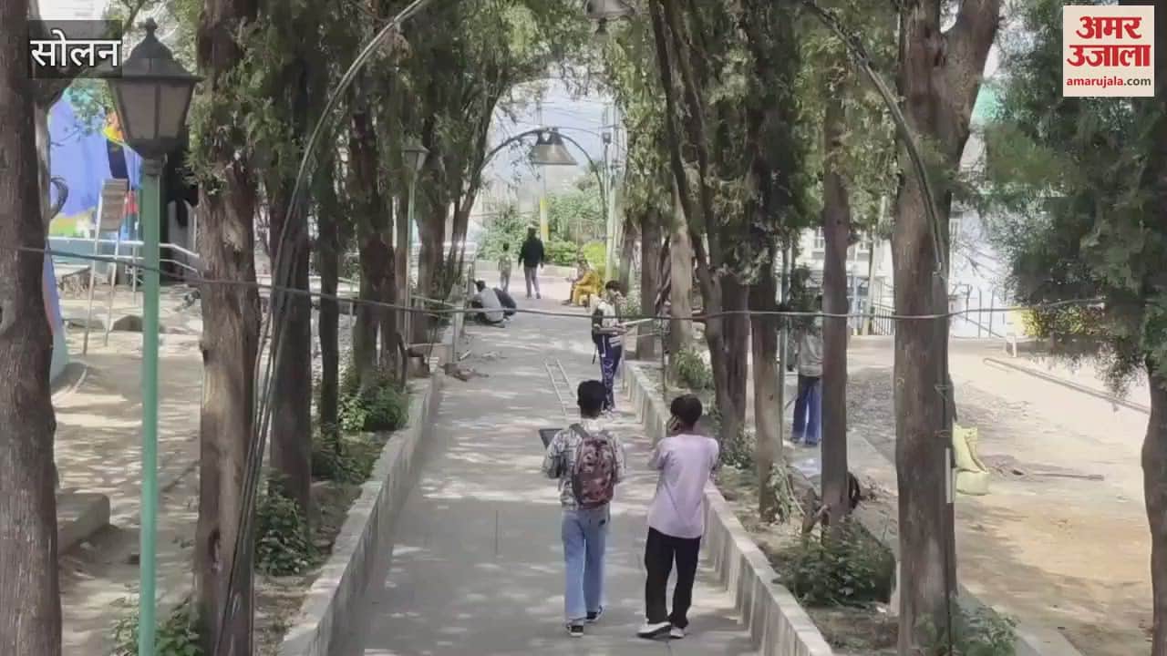 Solan Commissioner arrived to inspect the park, instructed the contractor to do the work properly