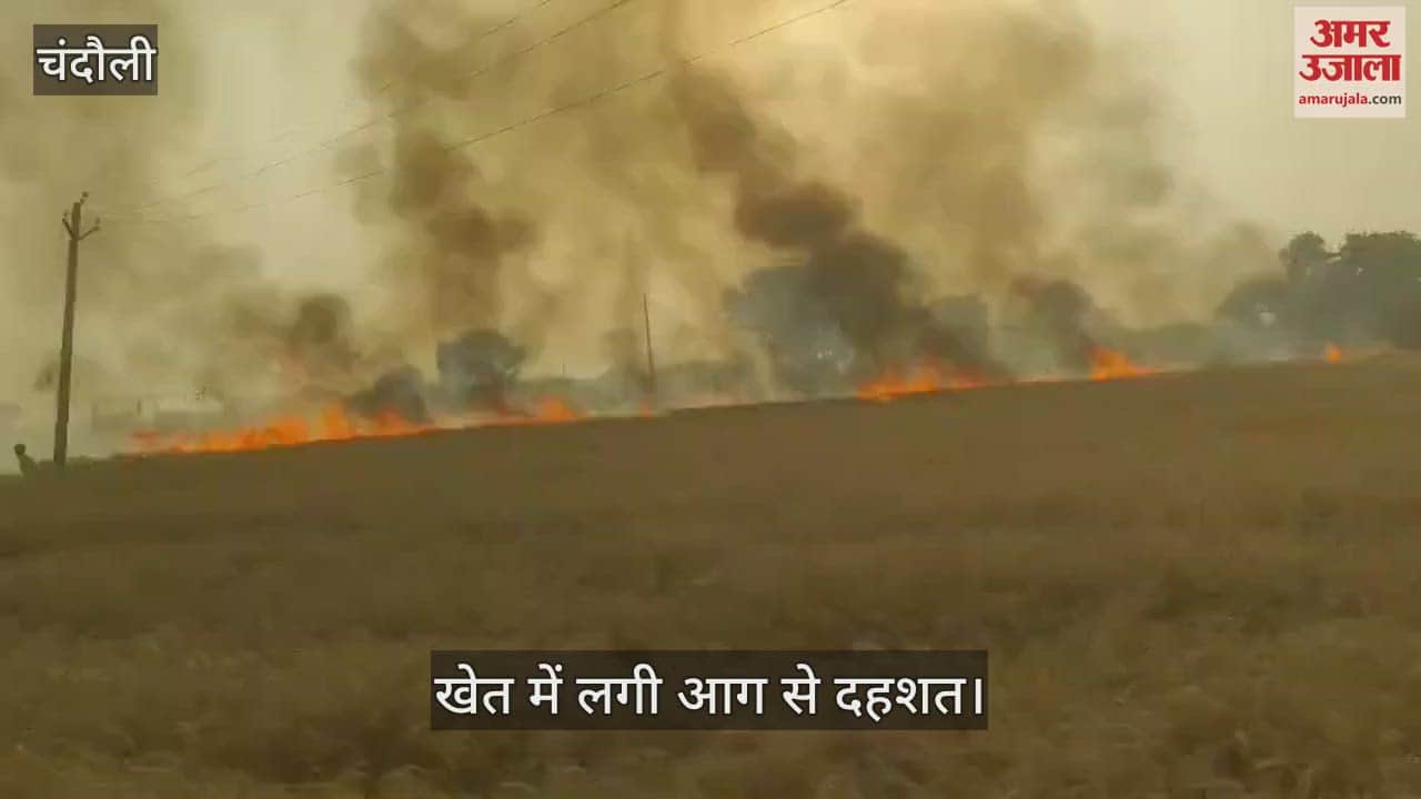 Panic due to fire in Chandauli field field burnt to ashes villagers brought it under control