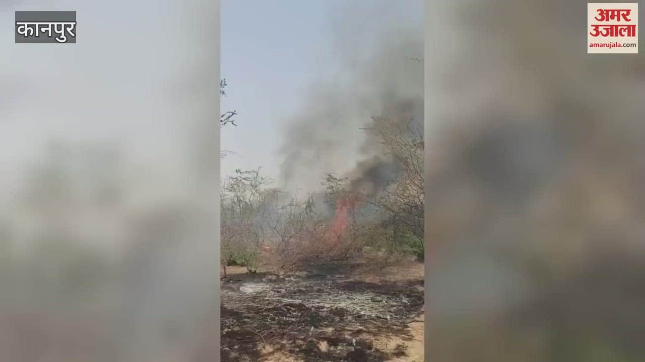 Fire broke out under suspicious circumstances, more than five bighas of forest burnt to ashes