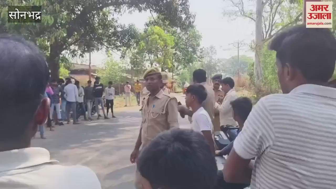 statue of Ambedkar vandalised in sonbhadra tension in village heavy police force deployed