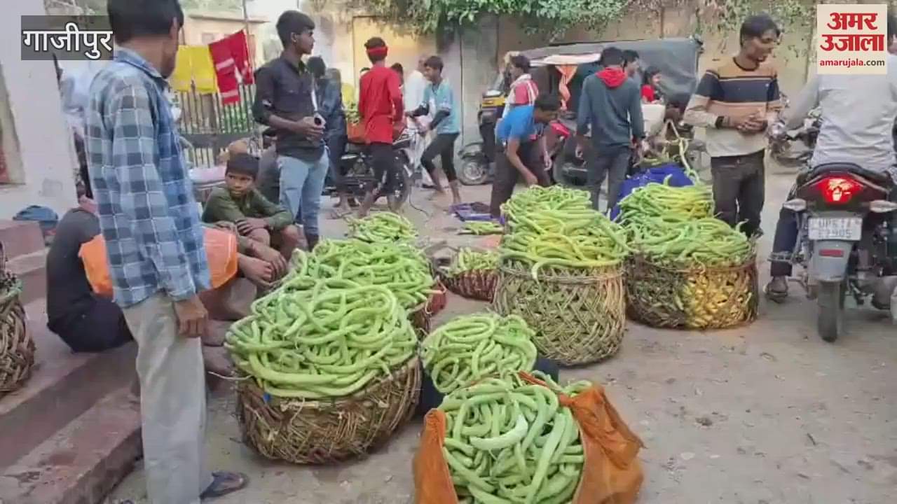 Farming sand of ghazipur making farmers rich knowing Cucumber cucumber watermelon
