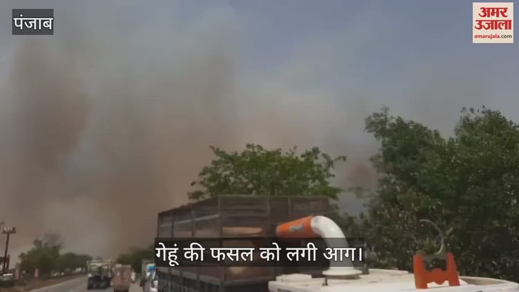 फिरोजपुर में 340 एकड़ में गेहूं की फसल जलकर राख