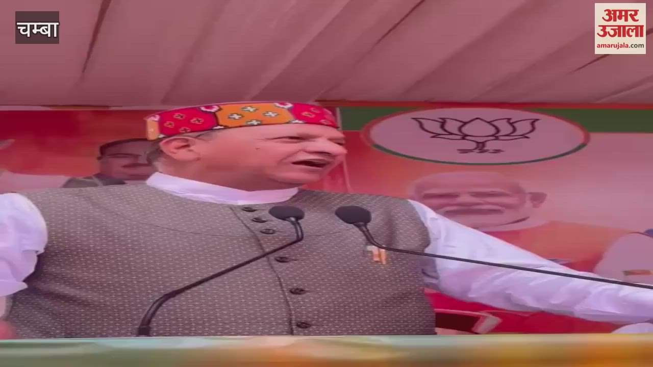 Chamba Rajeev Bindal said Mafia rule is flourishing under the rule of Congress government in Himachal