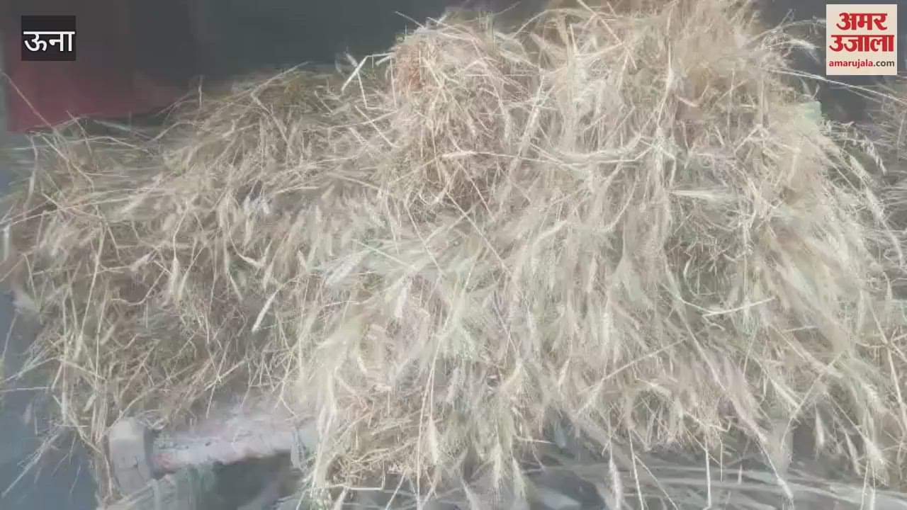 Una Farmers are troubled due to the play of hide and seek of clouds and strong winds