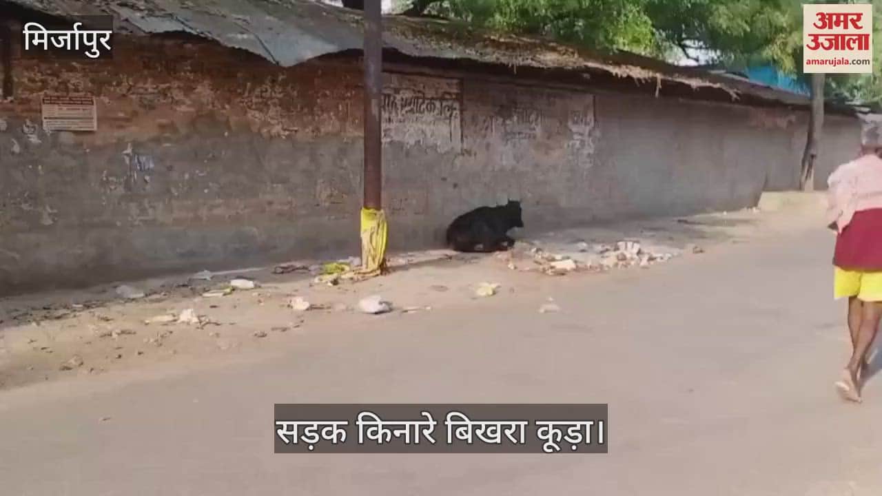 The garbage scattered on the roadside of Mirzapur is raising questions