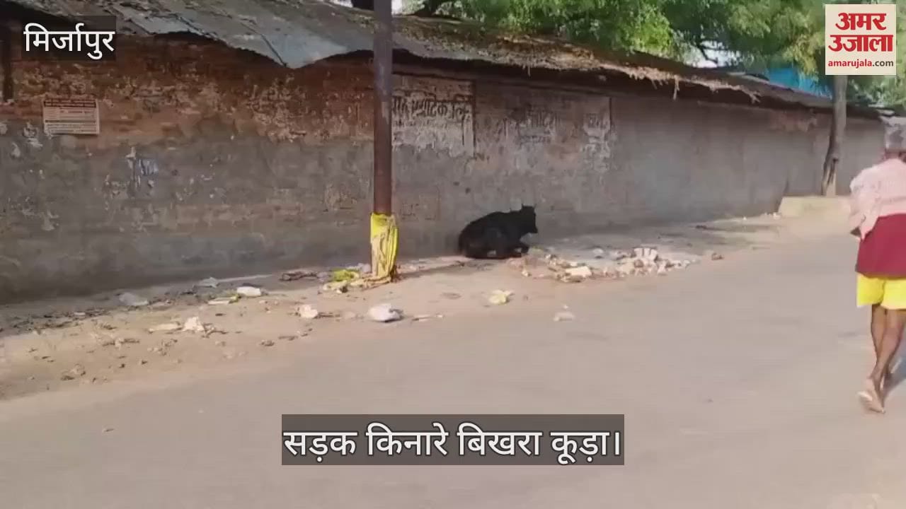 The garbage scattered on the roadside of Mirzapur is raising questions