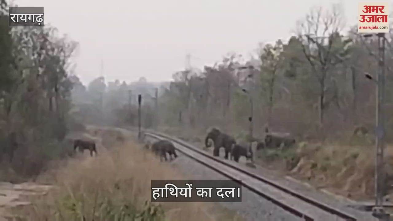 A group of wild elephants seen in residential areas dozens of villages on alert